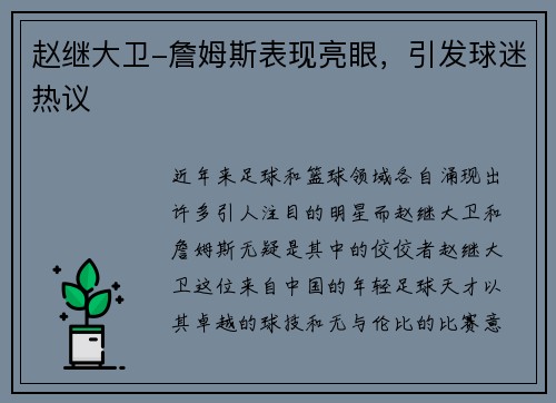 赵继大卫-詹姆斯表现亮眼，引发球迷热议